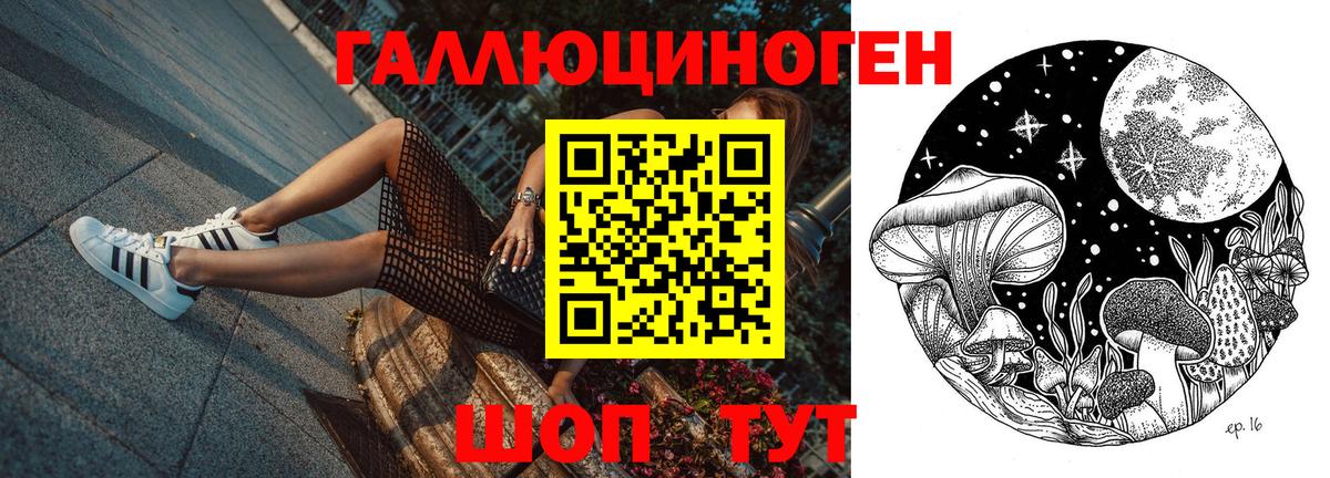 Галлюциногенные грибы Cubensis Старая Купавна
