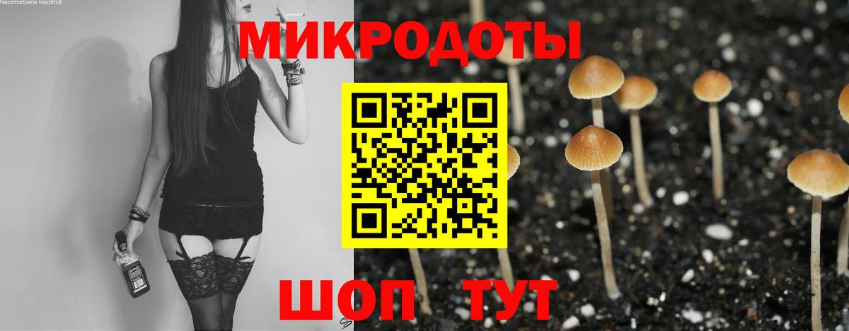 Старая Купавна  Псилоцибиновые грибы ЛСД  Вход с VPN 